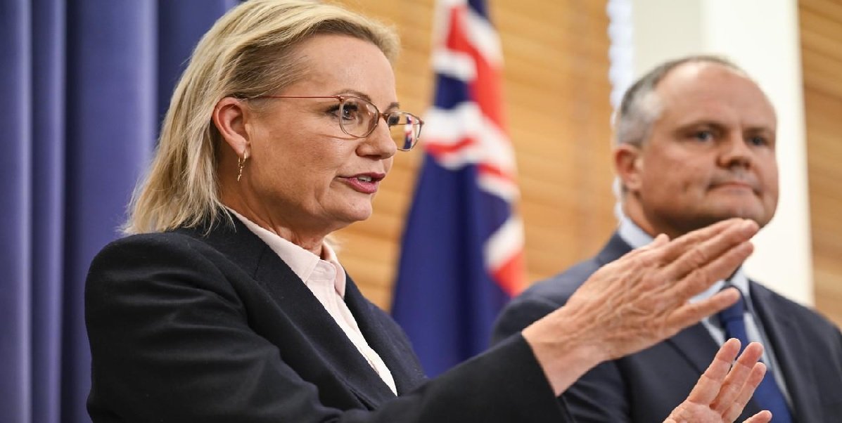 Sussan Ley: A Journey Through Australian Politics