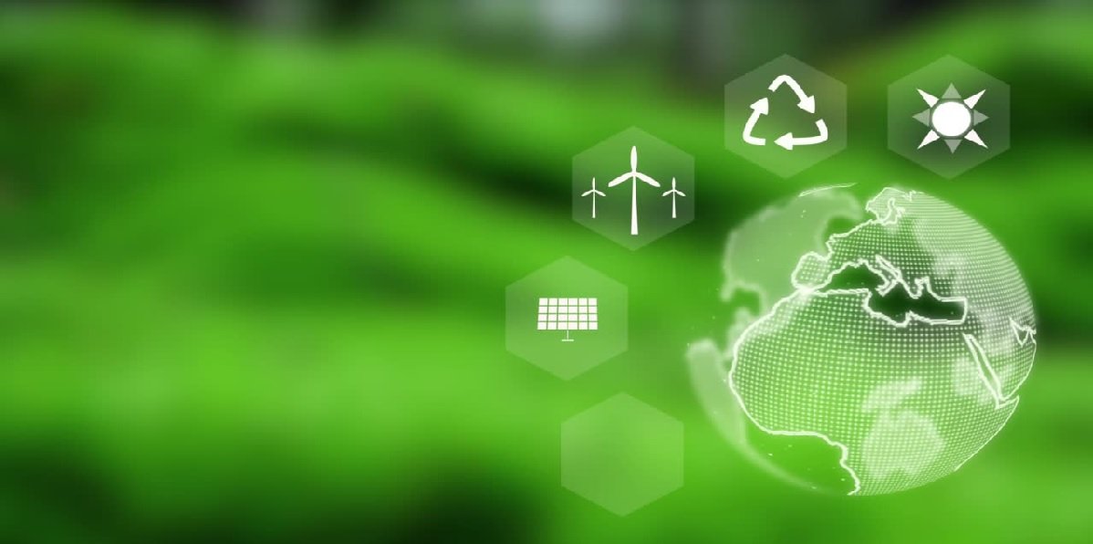 Green Living Made Easy: Top Eco-Friendly Products
