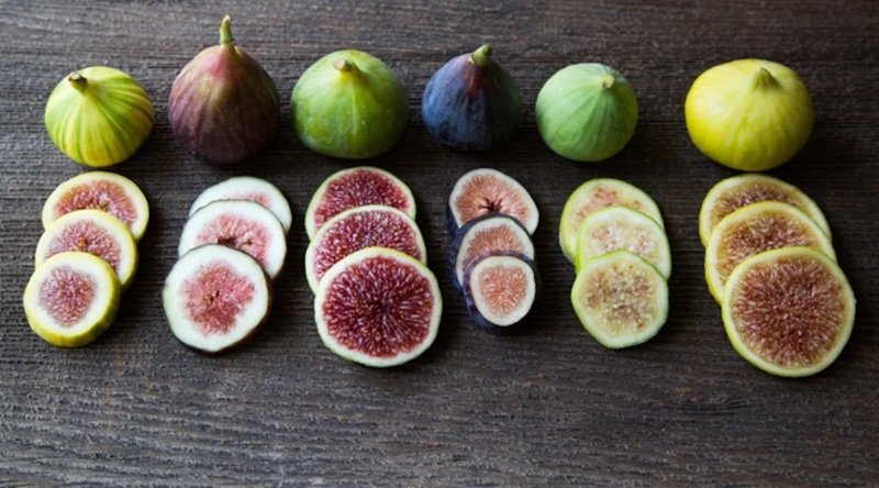 What Makes FIG Unique