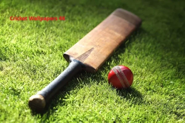 Cricket Wallpapers 4K