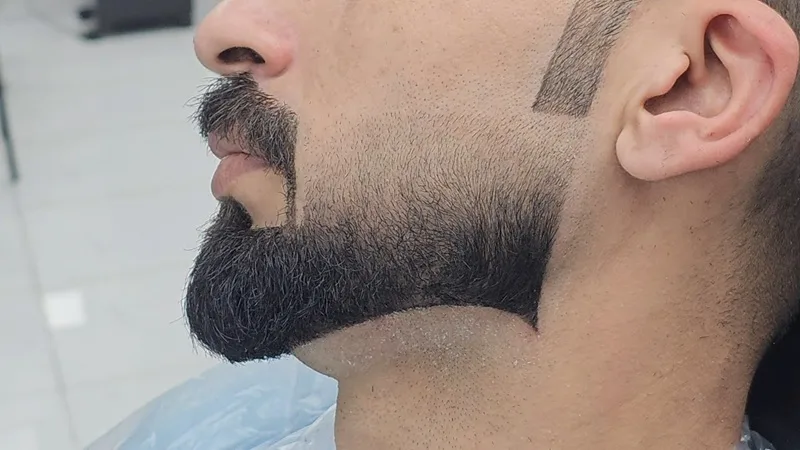 Dadhi Style