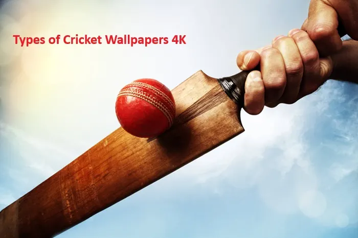 Types of Cricket Wallpapers 4K