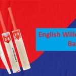 English Willow Cricket Bat