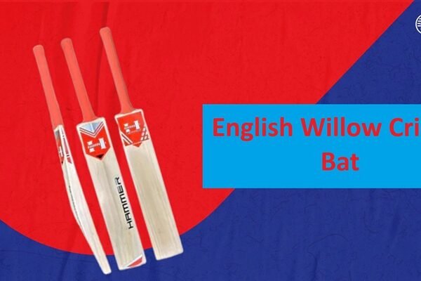 English Willow Cricket Bat
